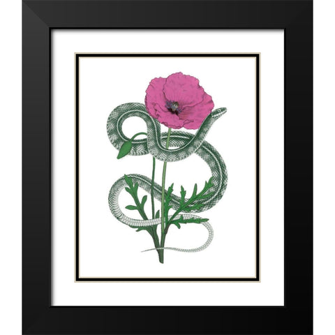 Natural Beauty I Pink Flower Black Modern Wood Framed Art Print with Double Matting by Wild Apple Portfolio
