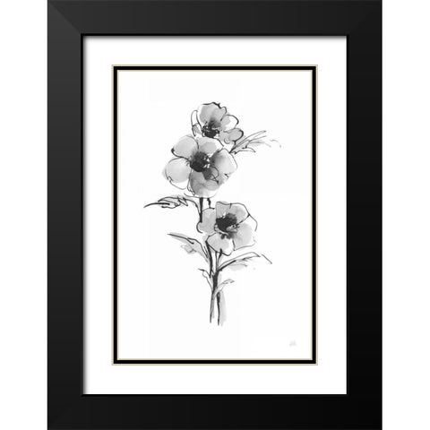 Wash Anemone II Black Modern Wood Framed Art Print with Double Matting by Paschke, Chris