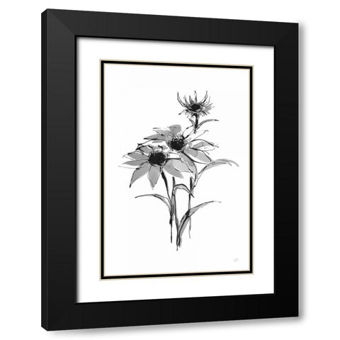 Wash Echinacea I Black Modern Wood Framed Art Print with Double Matting by Paschke, Chris