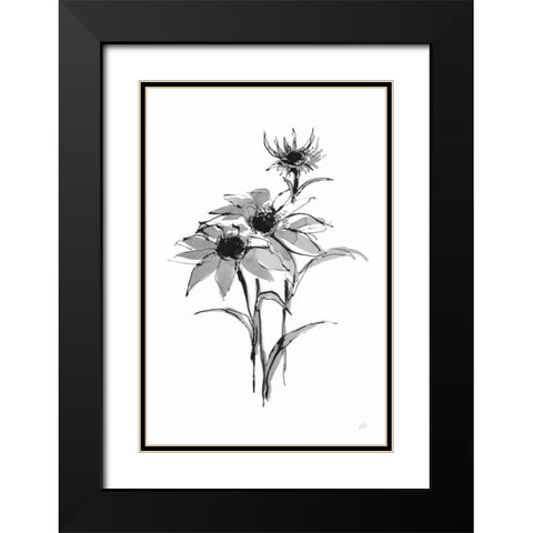 Wash Echinacea I Black Modern Wood Framed Art Print with Double Matting by Paschke, Chris