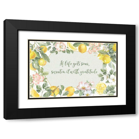 Citrus Charm I Black Modern Wood Framed Art Print with Double Matting by Grove, Beth