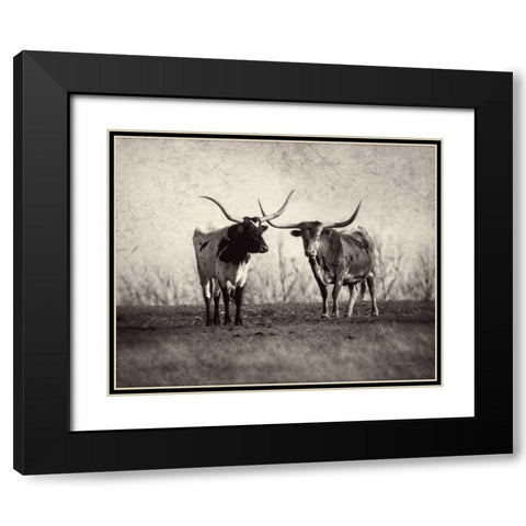 Texas Longhorns Black Modern Wood Framed Art Print with Double Matting by Van Swearingen, Debra