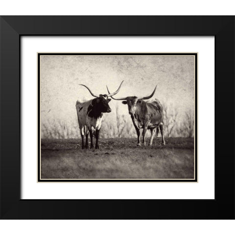 Texas Longhorns Black Modern Wood Framed Art Print with Double Matting by Van Swearingen, Debra