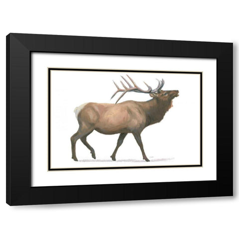 Northern Wild III Black Modern Wood Framed Art Print with Double Matting by Wiens, James