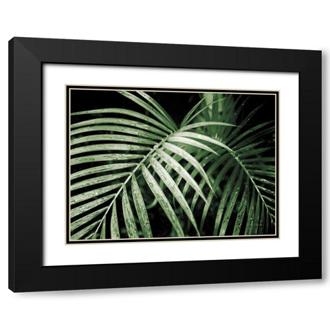 Palm Fronds Green Black Modern Wood Framed Art Print with Double Matting by Van Swearingen, Debra