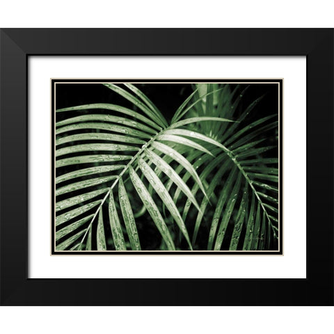 Palm Fronds Green Black Modern Wood Framed Art Print with Double Matting by Van Swearingen, Debra