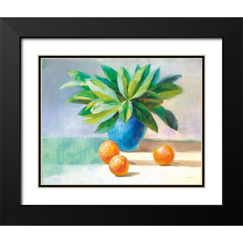 Citrus Still Life Black Modern Wood Framed Art Print with Double Matting by Nai, Danhui