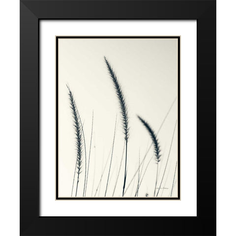Field Grasses IV Black Modern Wood Framed Art Print with Double Matting by Van Swearingen, Debra