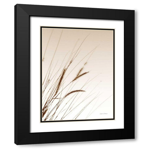 Field Grasses I Sepia Black Modern Wood Framed Art Print with Double Matting by Van Swearingen, Debra