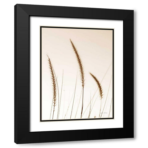 Field Grasses IV Sepia Black Modern Wood Framed Art Print with Double Matting by Van Swearingen, Debra