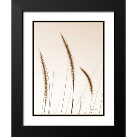 Field Grasses IV Sepia Black Modern Wood Framed Art Print with Double Matting by Van Swearingen, Debra
