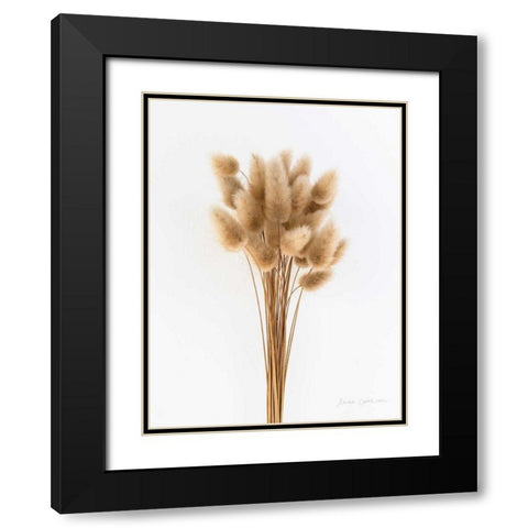 Dried Bouquet I Black Modern Wood Framed Art Print with Double Matting by Catterall, Elise