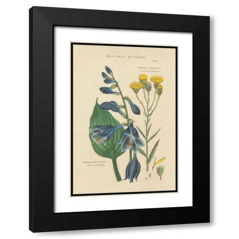 Botanical Print I Black Modern Wood Framed Art Print with Double Matting by Wild Apple Portfolio