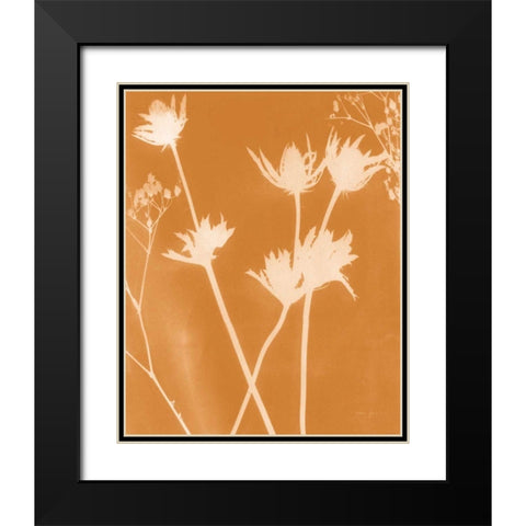 Enchanted Fall Cyanotype I Black Modern Wood Framed Art Print with Double Matting by Green, Nancy