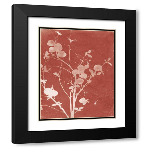 Enchanted Fall Cyanotype VI Black Modern Wood Framed Art Print with Double Matting by Green, Nancy