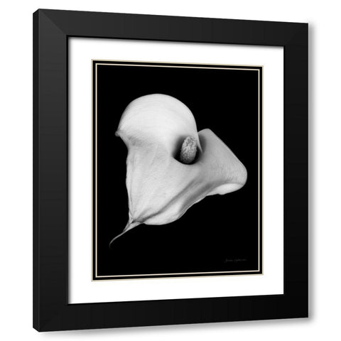 Elegant Calla III Black Modern Wood Framed Art Print with Double Matting by Catterall, Elise