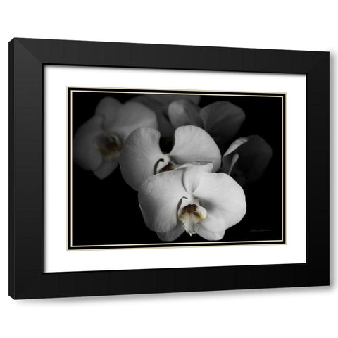 White Orchid I Black Modern Wood Framed Art Print with Double Matting by Catterall, Elise