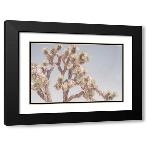 Desert Floral I Black Modern Wood Framed Art Print with Double Matting by Urquhart, Elizabeth