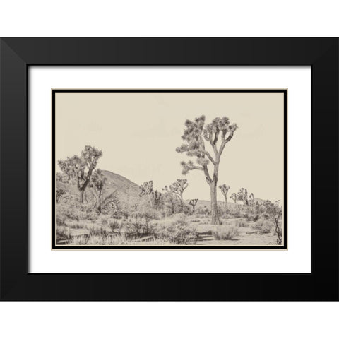 Joshua Tree II Neutral Black Modern Wood Framed Art Print with Double Matting by Urquhart, Elizabeth