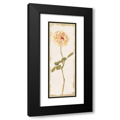 Pale Rose Panel Light Black Modern Wood Framed Art Print with Double Matting by Blum, Cheri