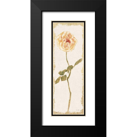 Pale Rose Panel Light Black Modern Wood Framed Art Print with Double Matting by Blum, Cheri