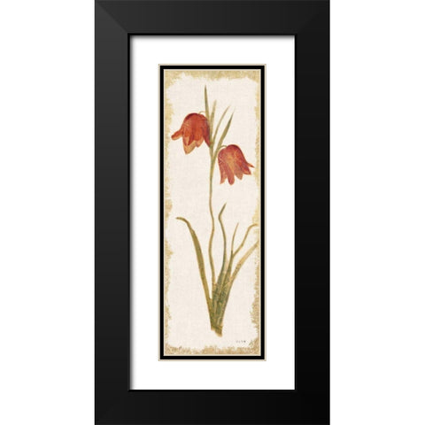 Red Tulip Panel Light Black Modern Wood Framed Art Print with Double Matting by Blum, Cheri