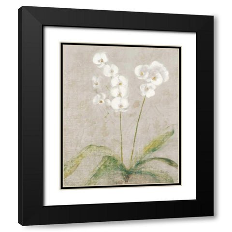 Orchid Light Black Modern Wood Framed Art Print with Double Matting by Blum, Cheri