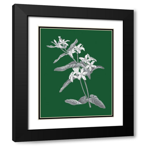 Green Botanical IV Black Modern Wood Framed Art Print with Double Matting by Wild Apple Portfolio