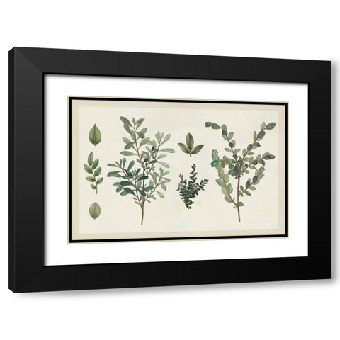 Victorian Garden Chart I Black Modern Wood Framed Art Print with Double Matting by Wild Apple Portfolio