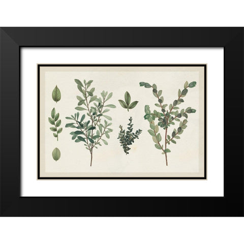 Victorian Garden Chart I Black Modern Wood Framed Art Print with Double Matting by Wild Apple Portfolio
