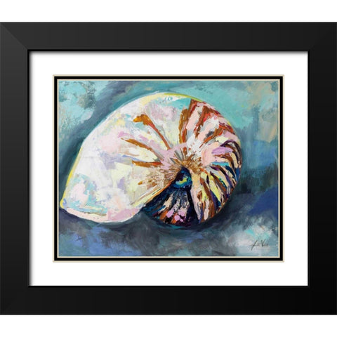 Nautilus Shell Black Modern Wood Framed Art Print with Double Matting by Vertentes, Jeanette