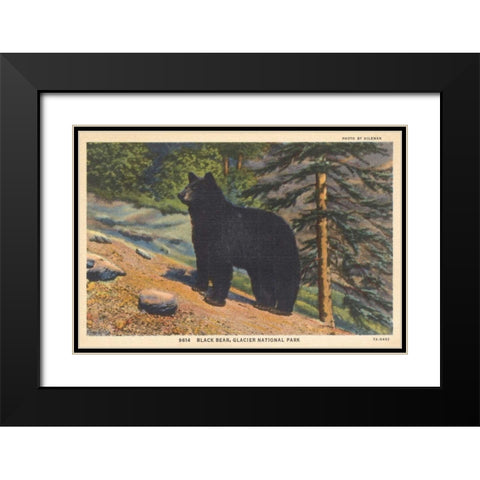 Black Bear I Crop Black Modern Wood Framed Art Print with Double Matting by Wild Apple Portfolio