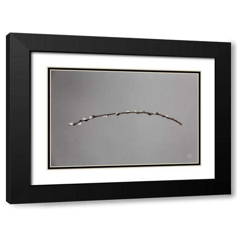 Springtime in the Air Black Modern Wood Framed Art Print with Double Matting by Larson, Nathan