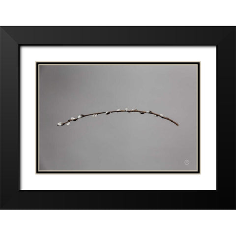 Springtime in the Air Black Modern Wood Framed Art Print with Double Matting by Larson, Nathan