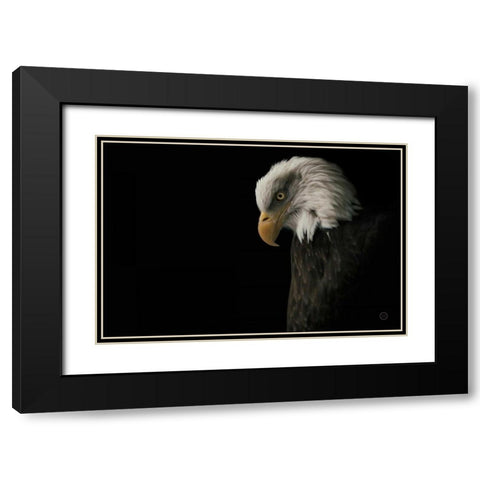 Eagle Bow Black Modern Wood Framed Art Print with Double Matting by Larson, Nathan