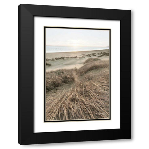 Beach Grasses Black Modern Wood Framed Art Print with Double Matting by Majchrowicz, Alan