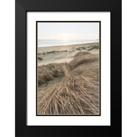 Beach Grasses Black Modern Wood Framed Art Print with Double Matting by Majchrowicz, Alan