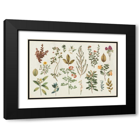Victorian Garden III Autumn Black Modern Wood Framed Art Print with Double Matting by Wild Apple Portfolio