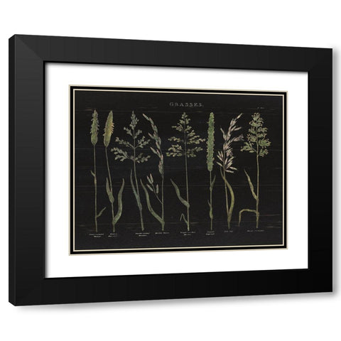 Herbal Botanical VII Black Wood Black Modern Wood Framed Art Print with Double Matting by Wild Apple Portfolio