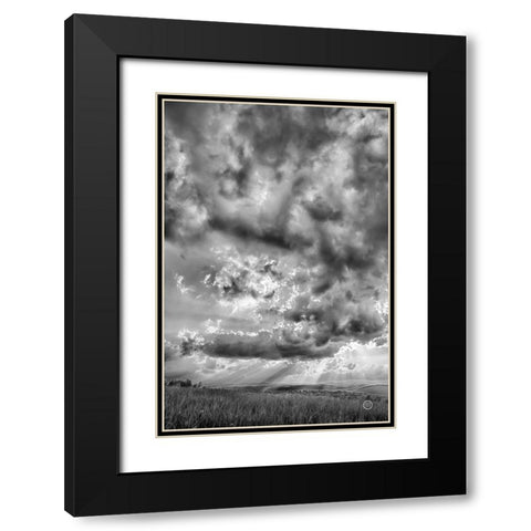 Rolling Pasture Rays Black Modern Wood Framed Art Print with Double Matting by Larson, Nathan