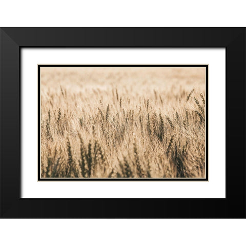 Dakota Wheat Fields Black Modern Wood Framed Art Print with Double Matting by Larson, Nathan