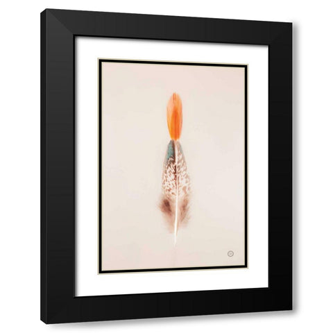 Floating Feathers I Black Modern Wood Framed Art Print with Double Matting by Larson, Nathan