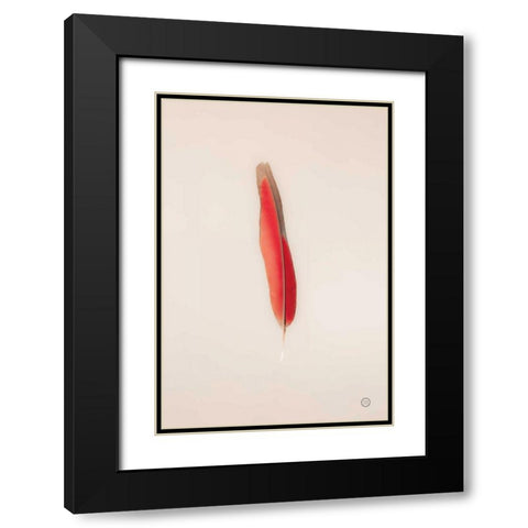 Floating Feathers II Black Modern Wood Framed Art Print with Double Matting by Larson, Nathan