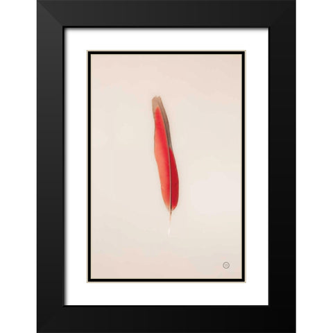 Floating Feathers II Black Modern Wood Framed Art Print with Double Matting by Larson, Nathan