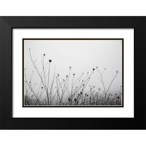 Autumn Grasses Black Modern Wood Framed Art Print with Double Matting by Aledanda