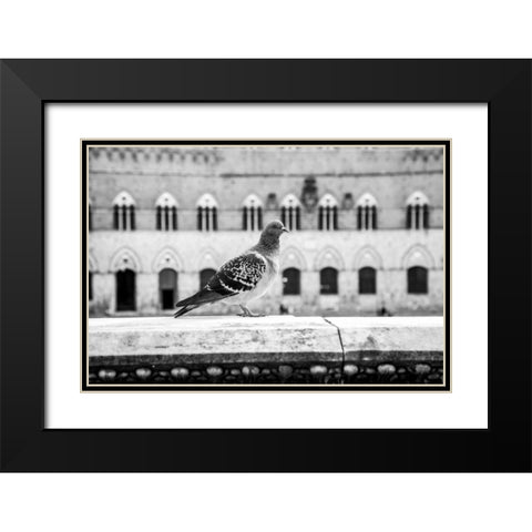 Il Piccione Black Modern Wood Framed Art Print with Double Matting by Aledanda