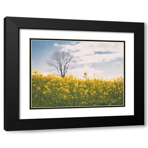 Spring Meadow Black Modern Wood Framed Art Print with Double Matting by Aledanda