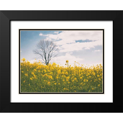 Spring Meadow Black Modern Wood Framed Art Print with Double Matting by Aledanda