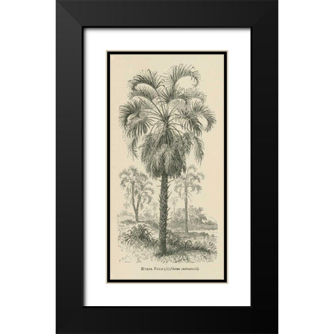 Creators Wonders Book Palm Black Modern Wood Framed Art Print with Double Matting by Wild Apple Portfolio