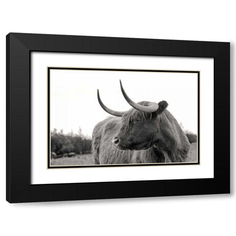 On the Ranch I No Tag Black Modern Wood Framed Art Print with Double Matting by Eichman, Andre
